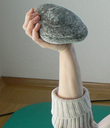 stein.jpg